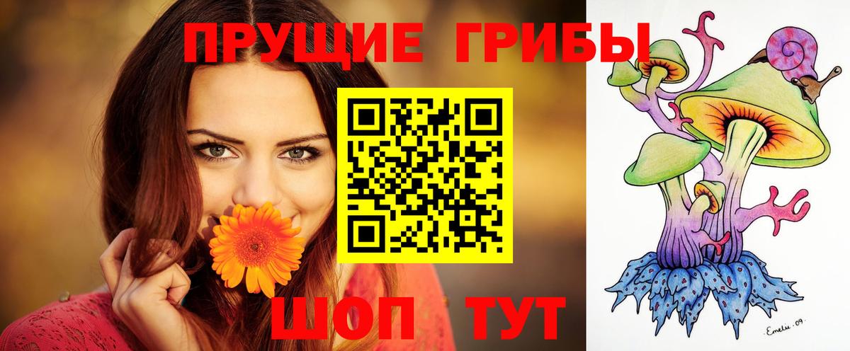 Зеленогорск  Галлюциногенные грибы ЛСД  Псилоцибиновые грибы Psilocybine cubensis  Вход с VPN 
