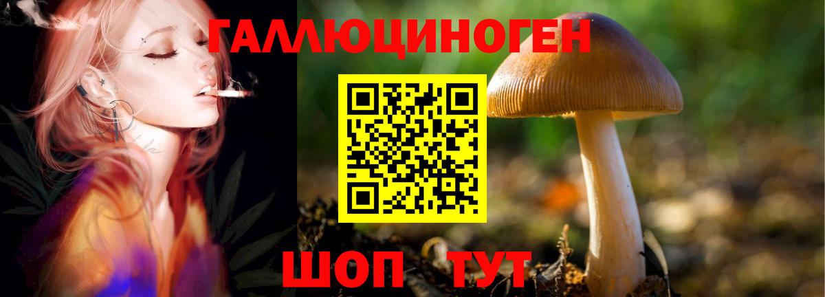 Галлюциногенные грибы прущие грибы Зеленогорск